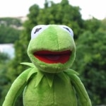 Kermit de Sesamstraat kikker pluche voor kinderen, Muppet Show pluche pop, pluche, speelgoed, kerst en verjaardag speelgoed, 40cm Uncategorized a7796c561c033735a2eb6c: 16cm sleutelhanger|35cm handpop|40cm pluche pop|60cm handpop