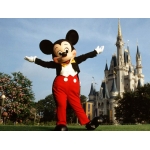 Mickey Mouse Tsum Tsum Pluche Uncategorized a7796c561c033735a2eb6c: Multicolour