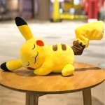 Schattig en vrolijk slapend pikachu pluche pakket