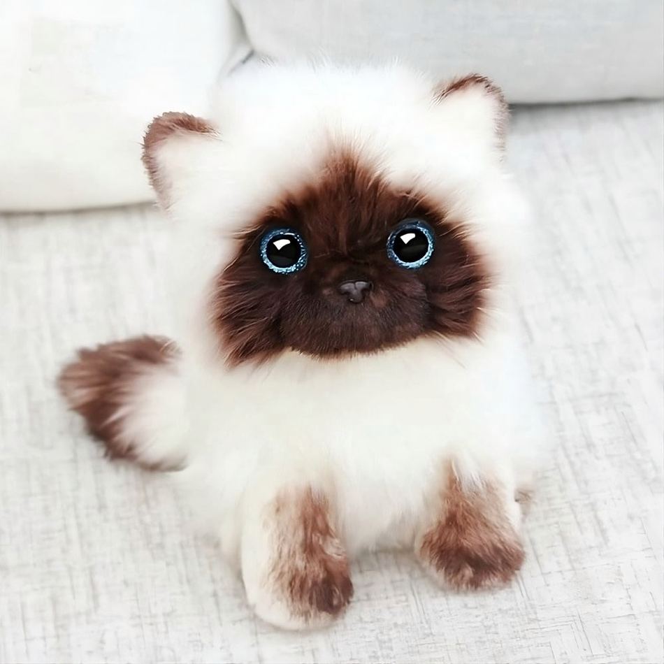 Zacht pluche katje - knuffel • Mijn Knuffel